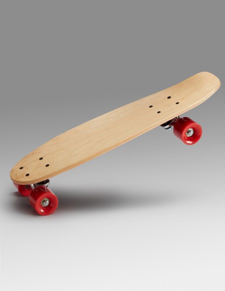 Exemple planche Mini-Cruiser finie