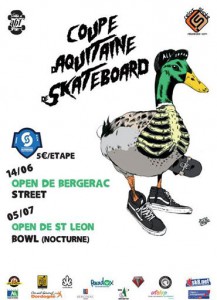 Coupe d'Aquitaine de Skateboard 2014
