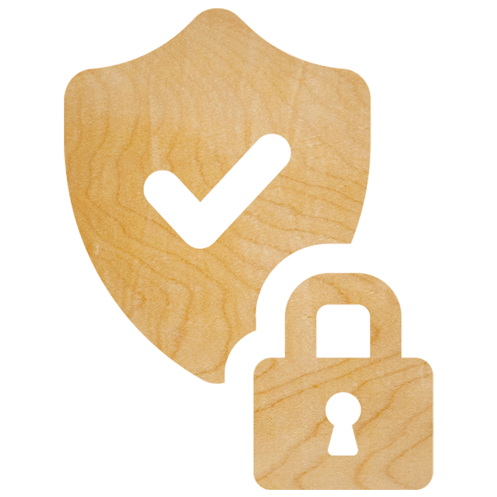 icon-secure.png